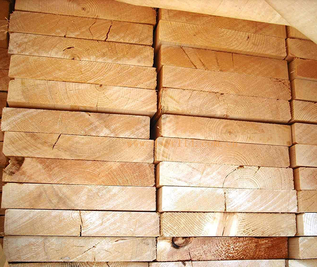 洛江智利辐射松方木